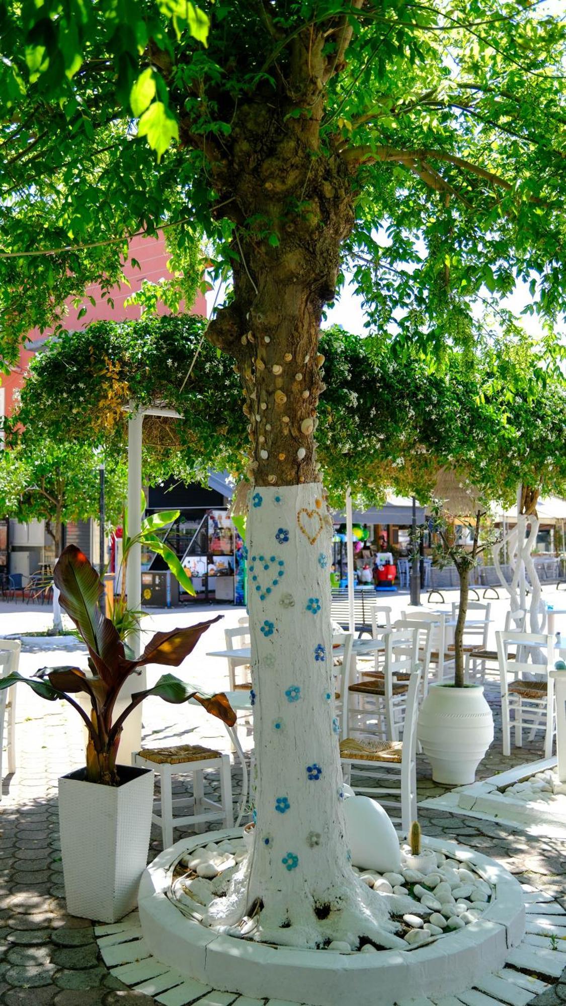Cocoon Hotel-Beach Bar Sarti Exterior photo